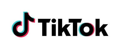 TikTok Online Safety Innovation Program