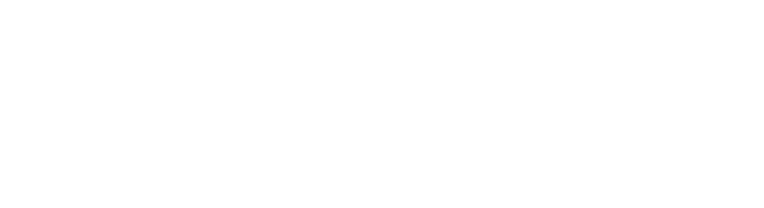 Stonly logo