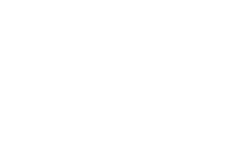 Female Founders Fellowship