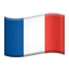 France flag